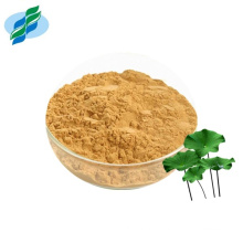 Weight Loss Powder Lotues Extract Nuciferine CAS 475-83-2